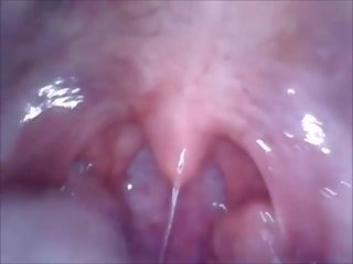 Kamera w usta wagina i tyłek